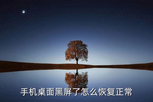 手機(jī)桌面黑屏了怎么恢復(fù)正常