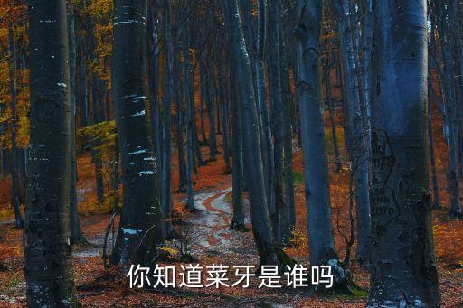 你知道菜牙是誰嗎