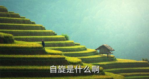 自旋是什么啊