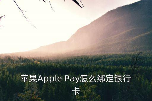 蘋果錢包，蘋果錢包怎么支付