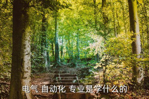 電氣 自動化 專業(yè)是學什么的