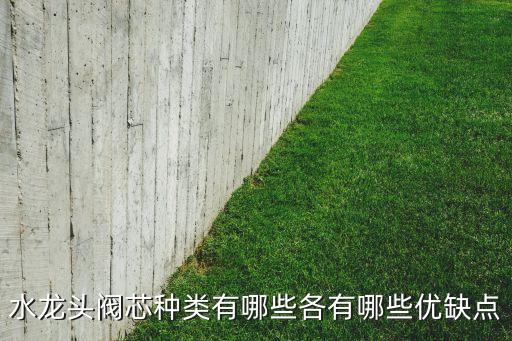 水龍頭閥芯種類有哪些各有哪些優(yōu)缺點