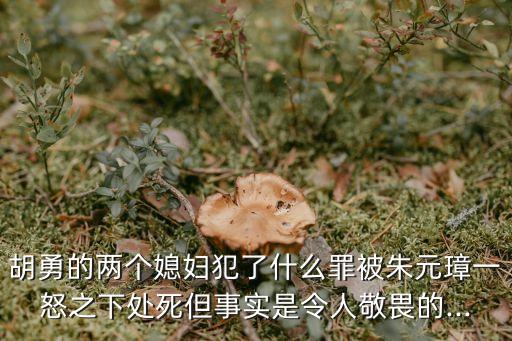 胡勇的兩個(gè)媳婦犯了什么罪被朱元璋一怒之下處死但事實(shí)是令人敬畏的...