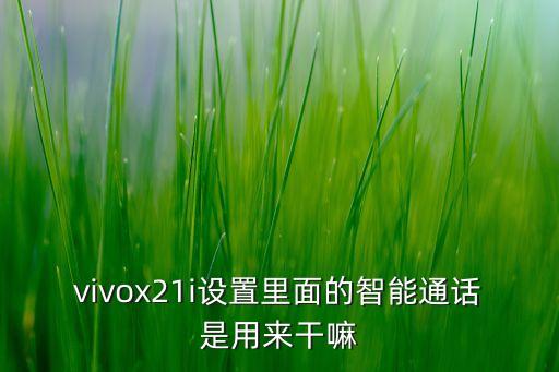 vivox21i設(shè)置里面的智能通話是用來干嘛