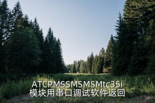 ATCPMSSMSMSMtc35i模塊用串口調(diào)試軟件返回