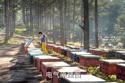  電氣原理圖