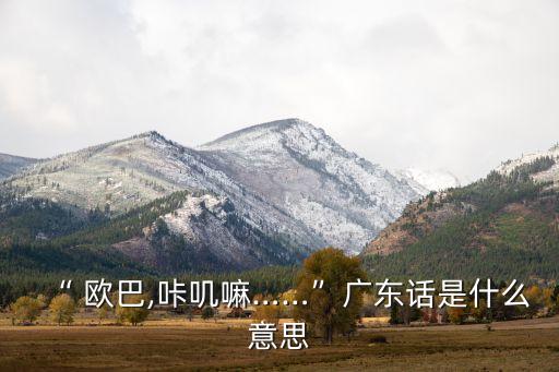 “ 歐巴,咔嘰嘛……”廣東話是什么意思