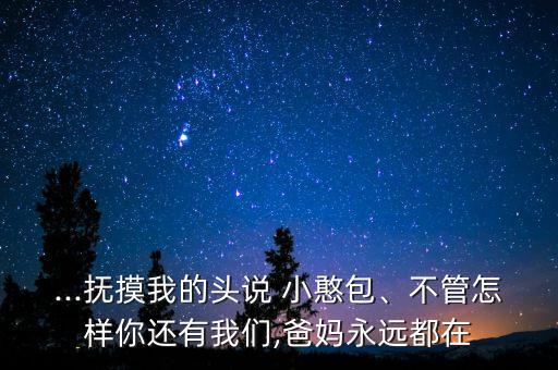 ...撫摸我的頭說 小憨包、不管怎樣你還有我們,爸媽永遠都在