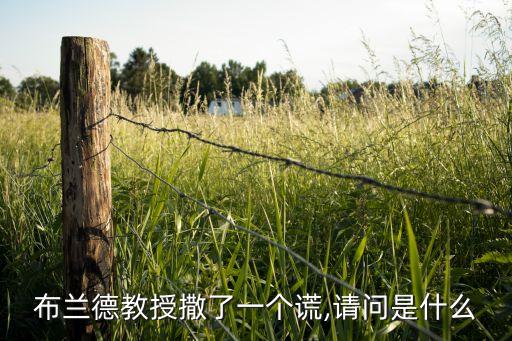 謊言機(jī)器人