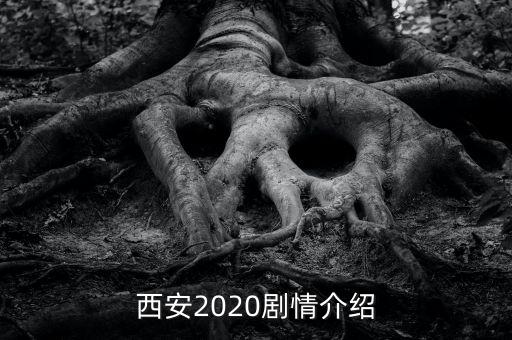 西安2020劇情介紹