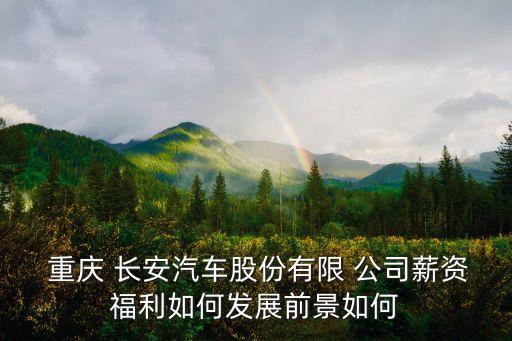  重慶 長安汽車股份有限 公司薪資福利如何發(fā)展前景如何