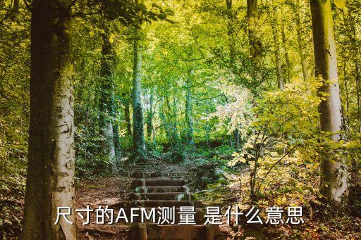 尺寸的AFM測(cè)量 是什么意思
