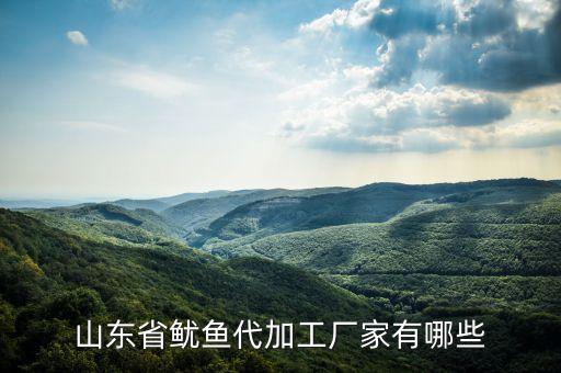 山東省魷魚代加工廠家有哪些