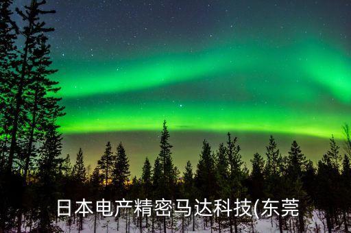 日本電產(chǎn),大連日本電產(chǎn)三協(xié)累不累累