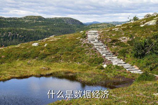什么是數(shù)據(jù)經(jīng)濟