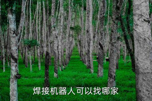 焊接機(jī)器人可以找哪家