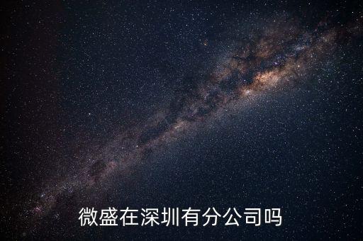 微盛在深圳有分公司嗎