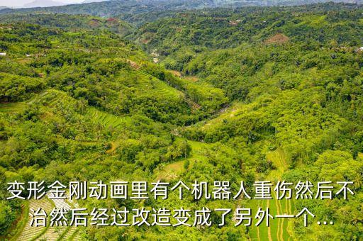 變形金剛動(dòng)畫里有個(gè)機(jī)器人重傷然后不治然后經(jīng)過改造變成了另外一個(gè)...
