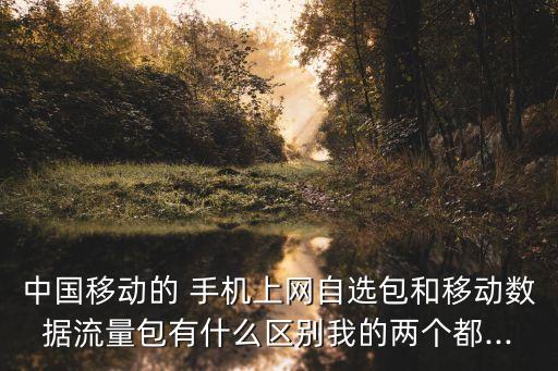 中國移動的 手機上網(wǎng)自選包和移動數(shù)據(jù)流量包有什么區(qū)別我的兩個都...