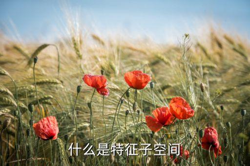 特征空間，種群的空間特征有哪三類
