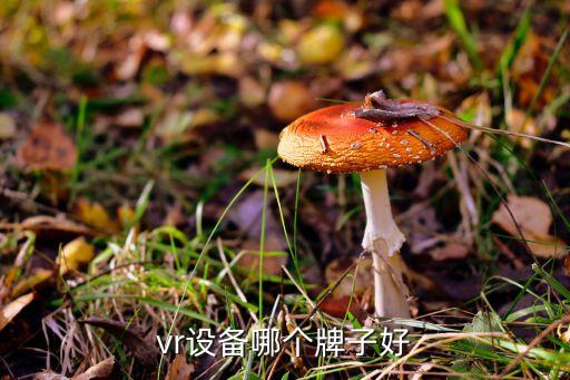 vr設(shè)備哪個(gè)牌子好