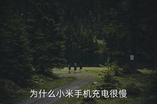 為什么小米手機(jī)充電很慢