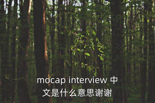 mocap interview 中文是什么意思謝謝