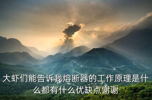 大蝦們能告訴我熔斷器的工作原理是什么都有什么優(yōu)缺點謝謝