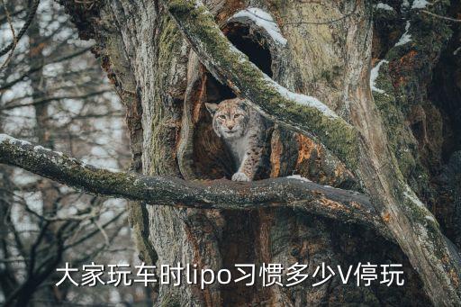 lipo，煙盒上名為L(zhǎng)ipo的煙中文叫什么