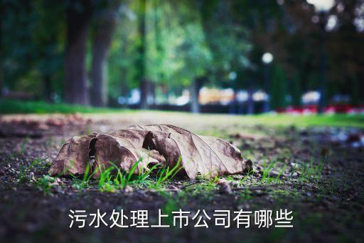 國內(nèi)水務(wù)自動化公司,中國規(guī)模比較大的水務(wù)公司有哪些呢?
