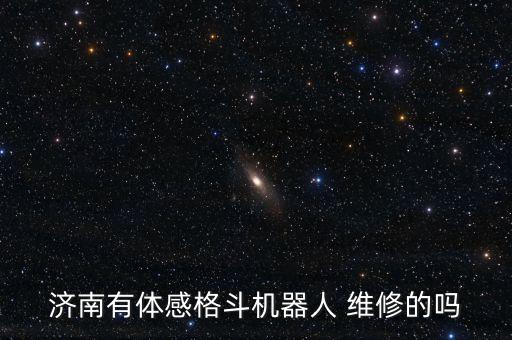 濟(jì)南有體感格斗機(jī)器人 維修的嗎
