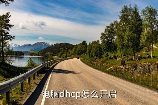 dhcp服務(wù)器,電腦怎么開啟dhcp服務(wù)器?