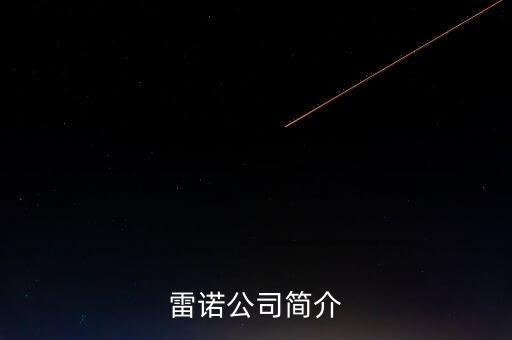 雷諾公司簡(jiǎn)介