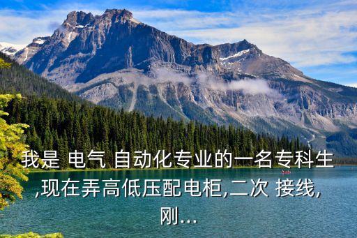 電氣儀表自動化電氣接線圖,自動化電氣接線要注意什么