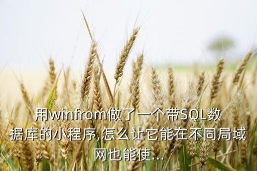 用winfrom做了一個(gè)帶SQL數(shù)據(jù)庫(kù)的小程序,怎么讓它能在不同局域網(wǎng)也能使...