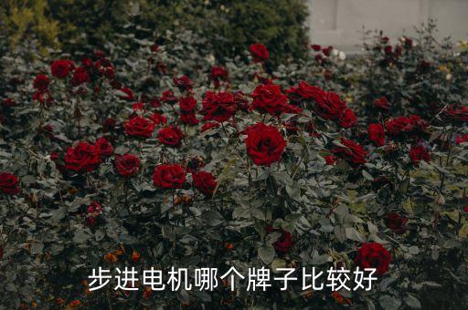 步進(jìn)電機(jī)哪個(gè)牌子比較好