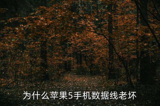 為什么蘋果5手機(jī)數(shù)據(jù)線老壞