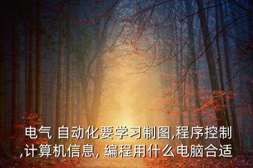  電氣 自動化要學習制圖,程序控制,計算機信息, 編程用什么電腦合適