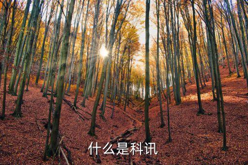 科訊，科訊CMS和科訊EShop CMS有什么區(qū)別