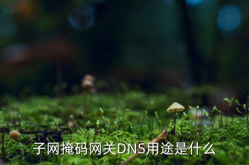 子網(wǎng)掩碼網(wǎng)關DNS用途是什么