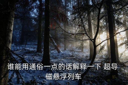 誰能用通俗一點的話解釋一下 超導(dǎo) 磁懸浮列車
