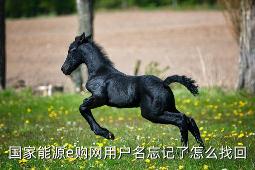 國家能源e購網(wǎng)用戶名忘記了怎么找回