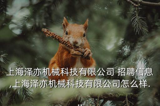 東鳳自動化設(shè)備機械廠招聘