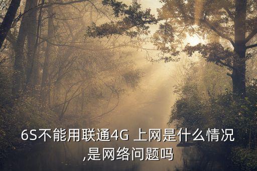 6S不能用聯通4G 上網是什么情況,是網絡問題嗎