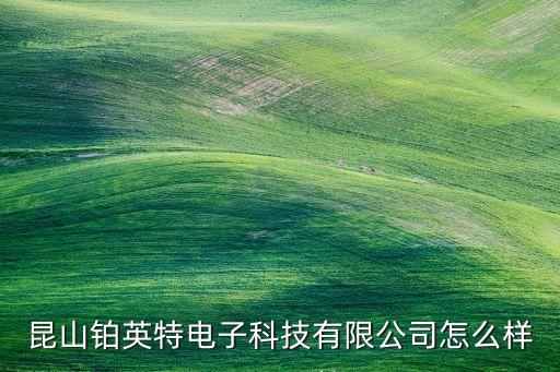 江蘇微晶自動(dòng)化有限公司,江浙滬有潛力的自動(dòng)化公司有哪些?