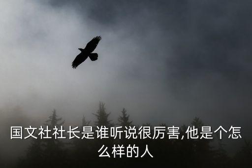 國文自動化有限公司,國文春國際醫(yī)院有限公司怎么樣?