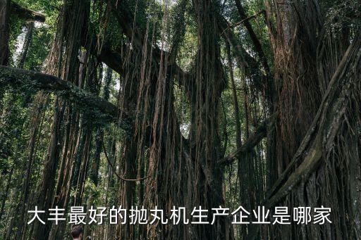 大豐最好的拋丸機(jī)生產(chǎn)企業(yè)是哪家