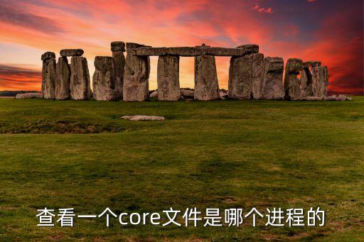 查看一個(gè)core文件是哪個(gè)進(jìn)程的