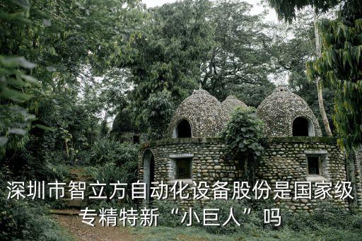 深圳市智立方自動(dòng)化設(shè)備股份是國家級(jí)專精特新“小巨人”嗎
