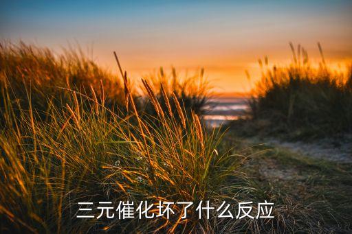 三元催化壞了什么反應(yīng)